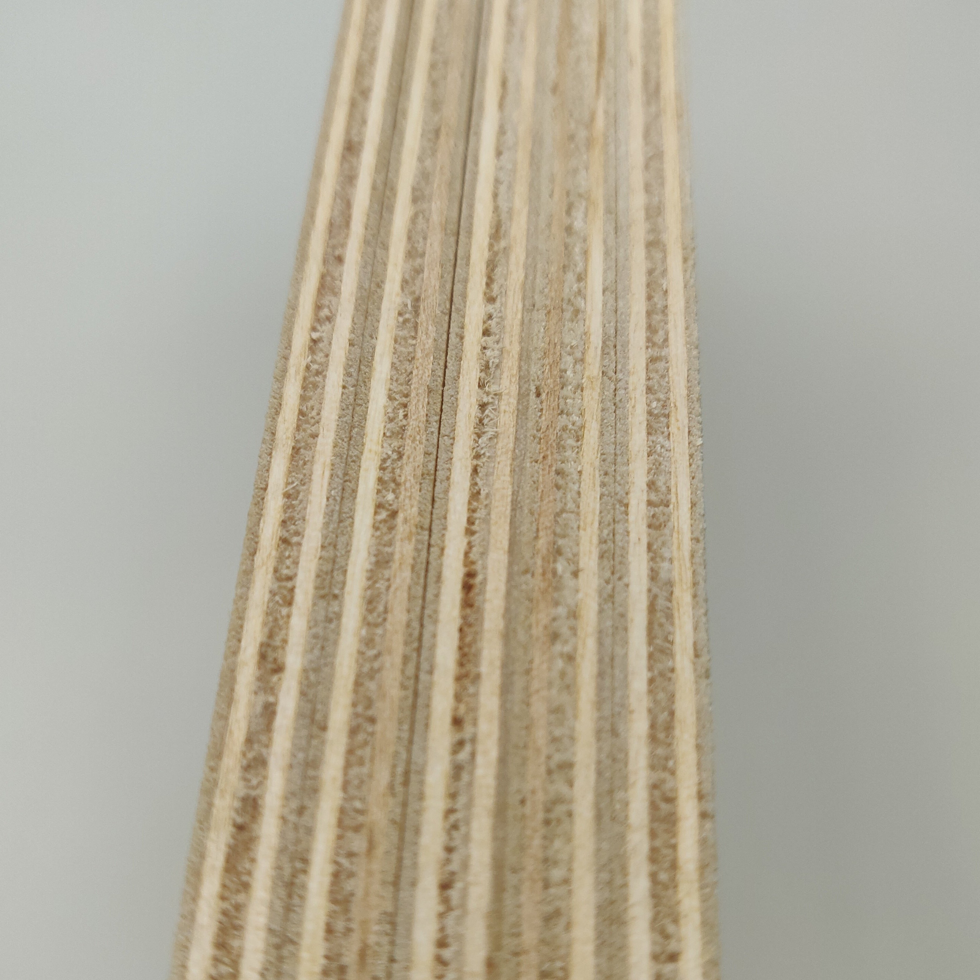 Birkensperrholz