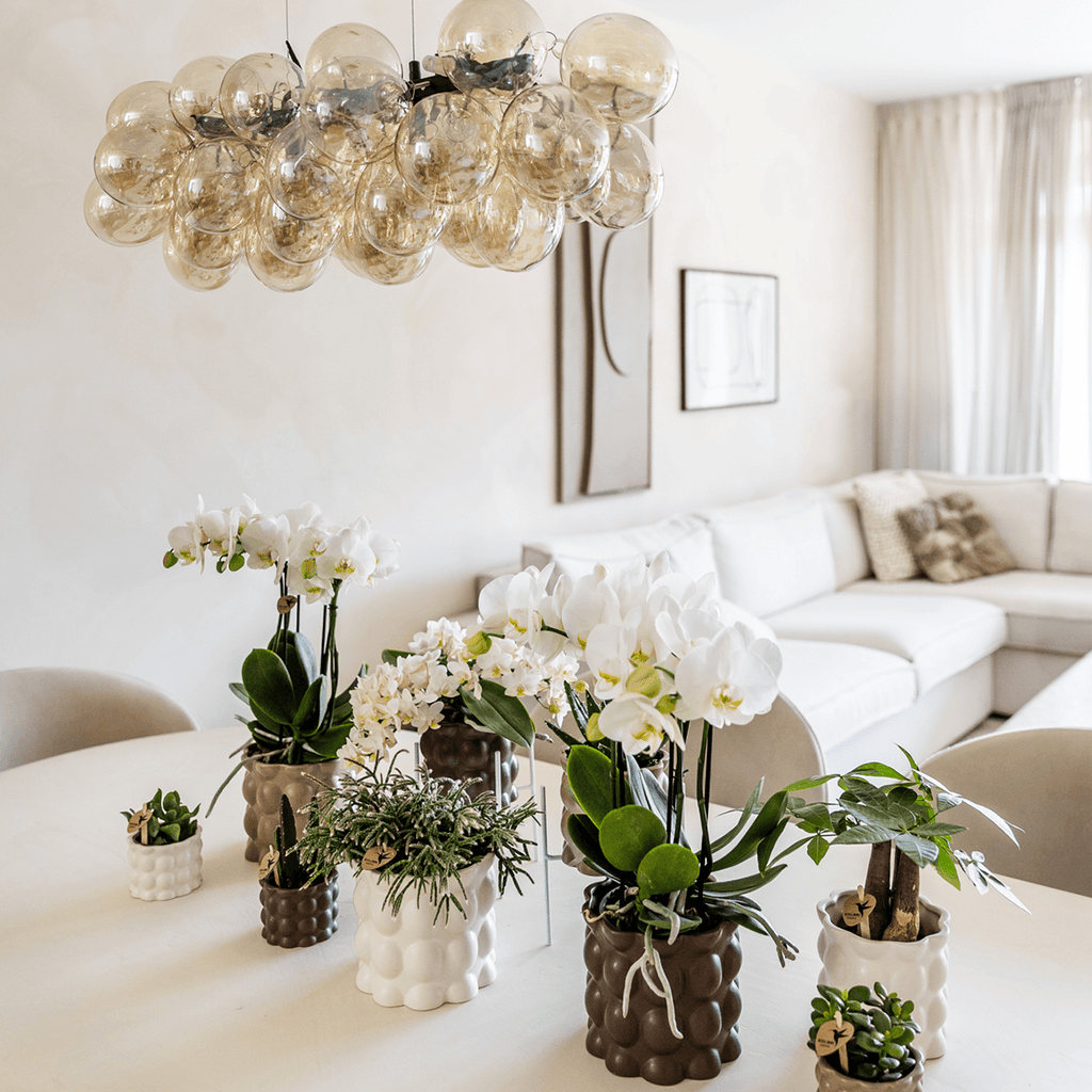 Ziertopf Cotton – Weiß – Ø6cm – Blumentopf mit matter Oberfläche – Pflanztopf aus der Slow Living Kollektion – Für kleine Pflanzen & Orchideen