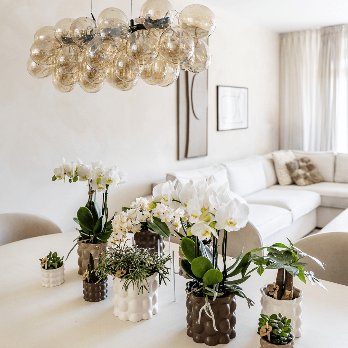 Ziertopf Cotton – Weiß – Ø6cm – Blumentopf mit matter Oberfläche – Pflanztopf aus der Slow Living Kollektion – Für kleine Pflanzen & Orchideen