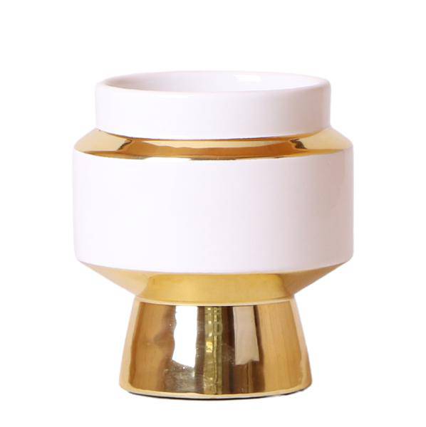 Le Chic Blumentopf Zimmerpflanze Ø9cm mit dekorativem Übertopf – blühende Orchidee für Wohnzimmer, Büro & helle Standorte kaufen